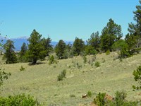 Hidden Meadows Ranch : Hartsel : Park County : Colorado