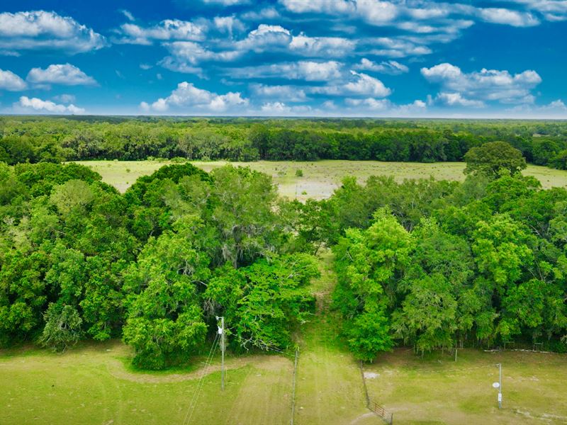 22 Acres, Pasture, Power, & Trees : Fort White : Columbia County : Florida