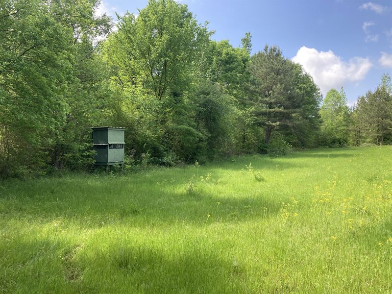 Ohatchee Tract : Ohatchee : Calhoun County : Alabama