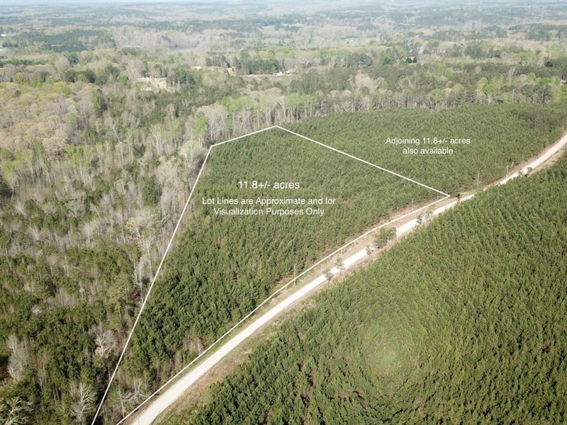 11.8 Ac Lot 2 Carroll County : Bowdon : Carroll County : Georgia