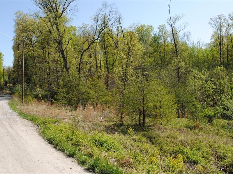 52 Acres Scott County Land For Sale : Henryville : Scott County : Indiana