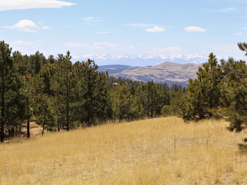 Spring Canyon Ranch : Cripple Creek : Teller County : Colorado