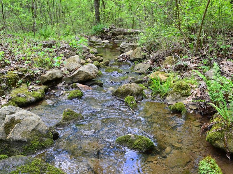 52.75 Surveyed Acres with 2 Creeks : Mountain View : Stone County : Arkansas