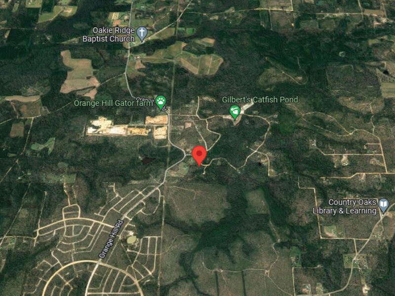 6.09 Acre Lot in Rural Chipley : Chipley : Washington County : Florida