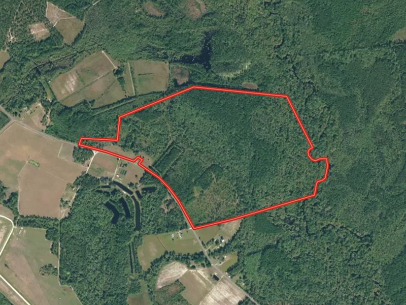 166 Acres of Riverfront Hunting, Farm for Sale in North Carolina