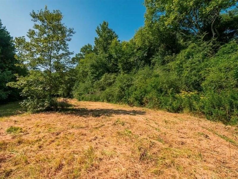 4 Parcels in South Dalton, GA : Dalton : Whitfield County : Georgia