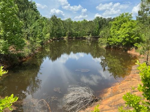Nice Timber Tract with Pond : Clayton : Barbour County : Alabama