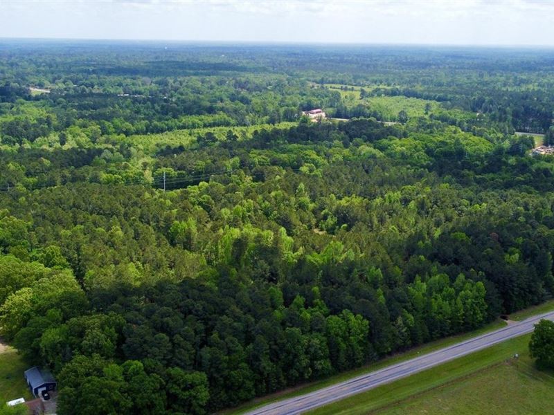 Bowie Co. 87 Acres : Texarkana : Bowie County : Texas