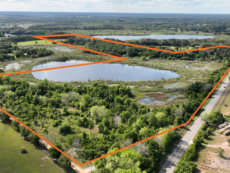 Lake Yale Acreage in Umatilla, Farm for Sale in Florida, 319850 FARMFLIP