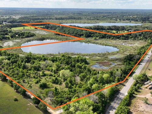 Lake Yale Acreage in Umatilla : Umatilla : Lake County : Florida