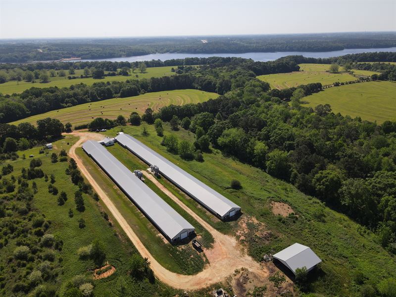 Tea Breeder Farm : Opp : Covington County : Alabama