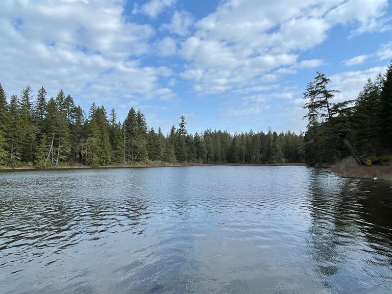 Lake View Estates : Belfair : Mason County : Washington