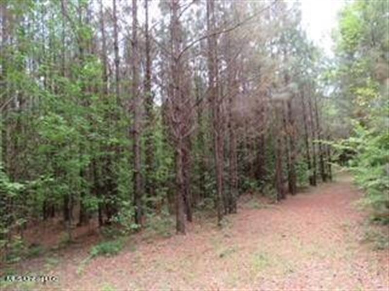 75 Ac in Holmes County, MS : Lexington : Madison County : Mississippi