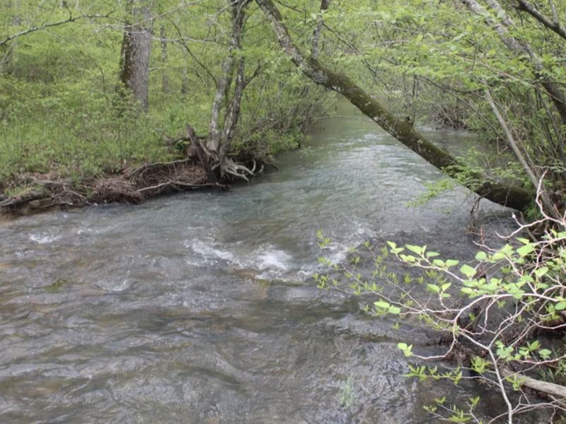 10 Ac Awesome Recreational Land : Dennard : Van Buren County : Arkansas