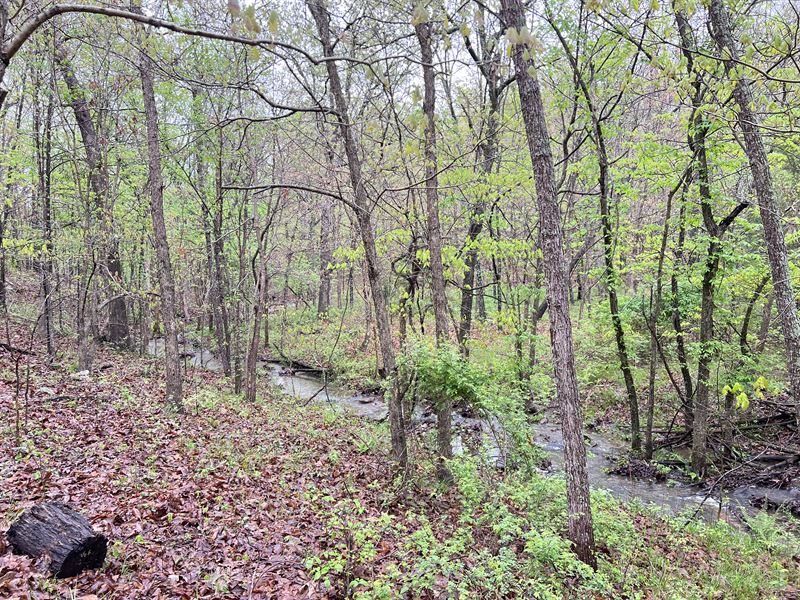 16.25 Acres Close to Lake of Ozarks : Climax Springs : Camden County : Missouri