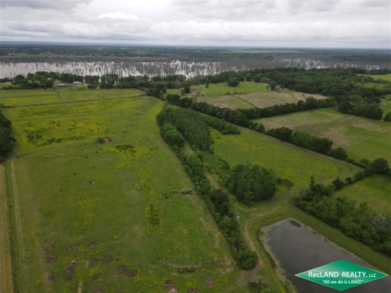 52 Ac, Pasture with Home Site Pote : Wisner : Franklin Parish : Louisiana