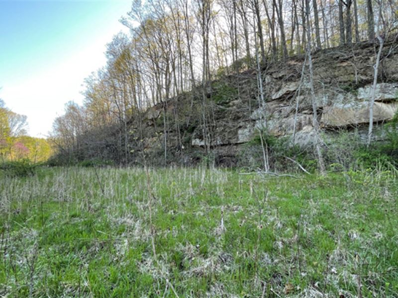 Noble County, Ohio Land for Sale : Dexter City : Noble County : Ohio