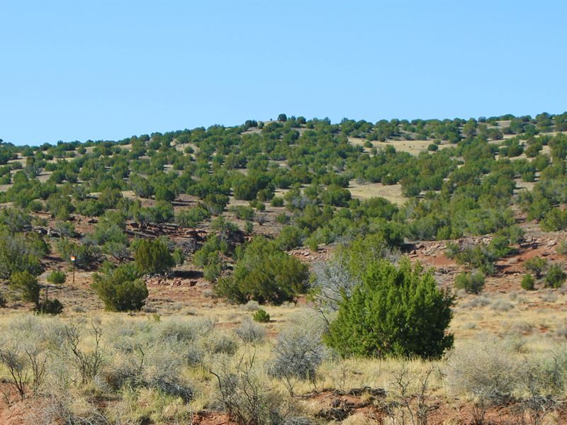 Highlands Homestead in Northern AZ : Saint Johns : Apache County : Arizona