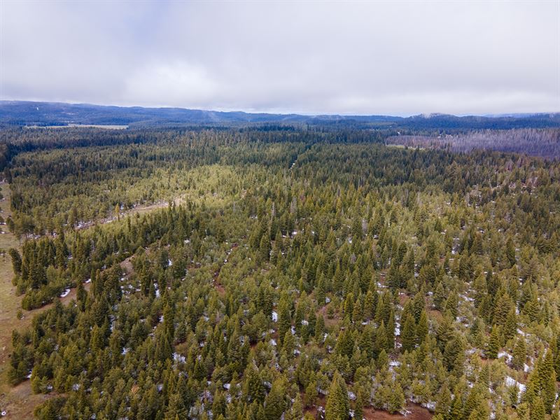 Keno Access 320 : Ashland : Jackson County : Oregon