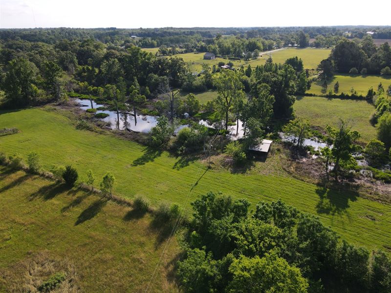 For Sale, Crawford Rd 6 ac : Cowarts : Houston County : Alabama