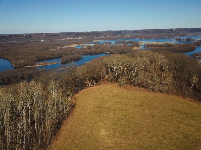 80 Acres in Winona County : Minnesota City : Winona County : Minnesota