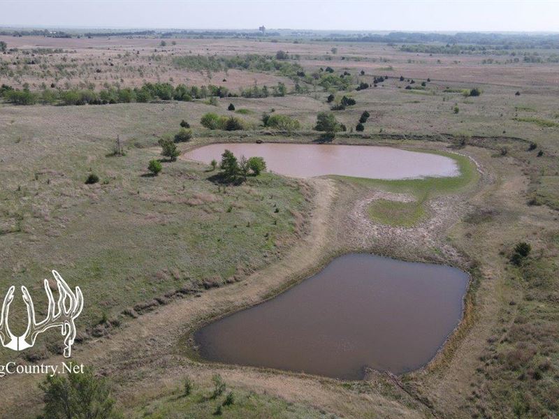 313 Acres M/L Harper County, Kansas : Harper : Harper County : Kansas