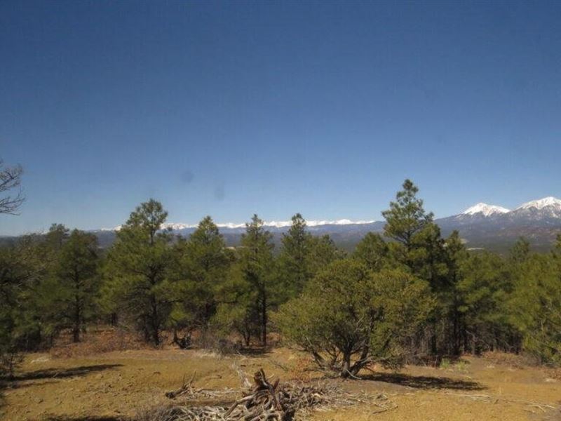 43 Del Agua Canyon Ranches : Trinidad : Las Animas County : Colorado