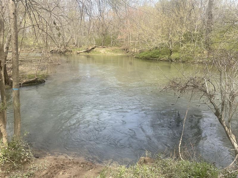 40 Acres For Sale In Lawrence Co : Town Creek : Lawrence County : Alabama