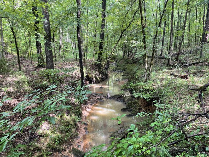 318 Ac Potato Creek Upson County : Thomaston : Upson County : Georgia