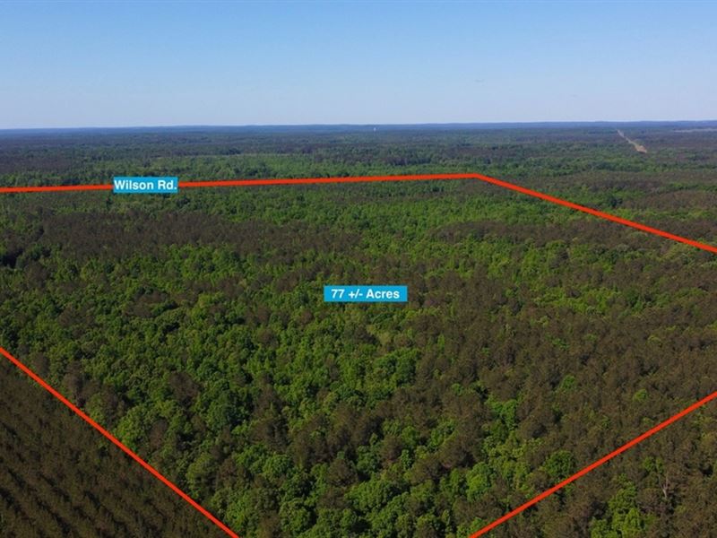 77 Acres in Oktibbeha County : Starkville : Oktibbeha County : Mississippi