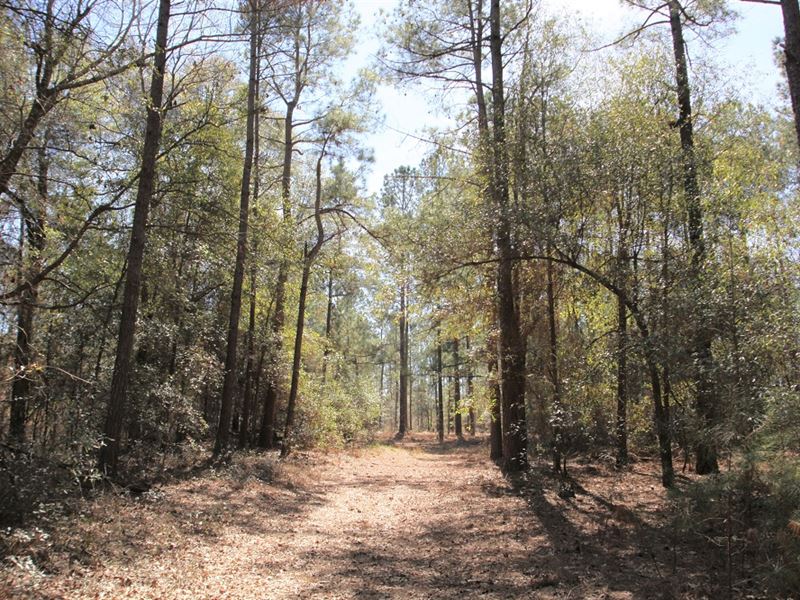 Beautiful Wooded Homesite : Waynesboro : Richmond County : Georgia
