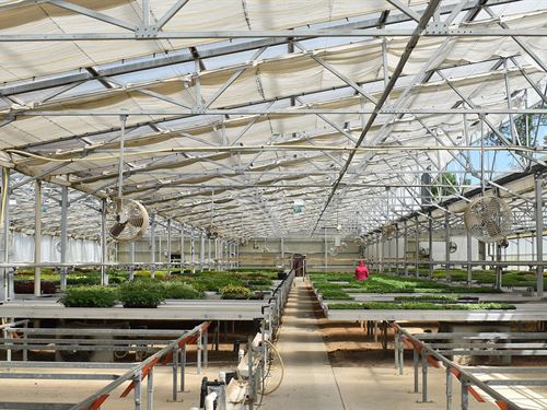 N. Central FL Propagation Nursery : Hawthorne : Alachua County : Florida