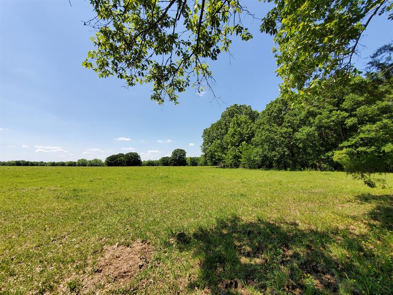 Rooks Ranch Safford, Alabama, Farm for Sale in Alabama, 320655 FARMFLIP