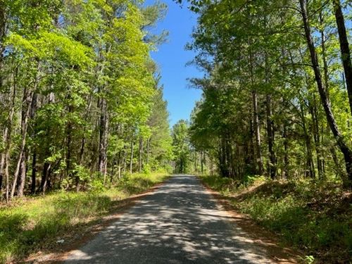 Gibson Rd Pines Tract : Talbotton : Talbot County : Georgia