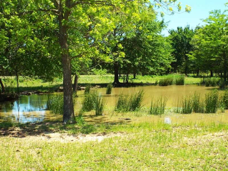 Boswell Recreational Hunting & Catt : Boswell : Choctaw County : Oklahoma
