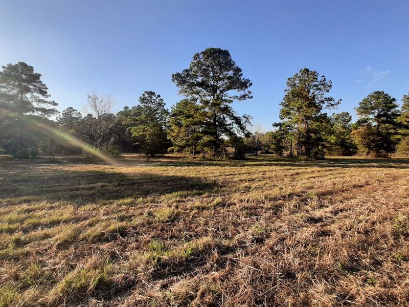 Lakewood Forest Subdivision, Farm for Sale in Florida, 320731 FARMFLIP