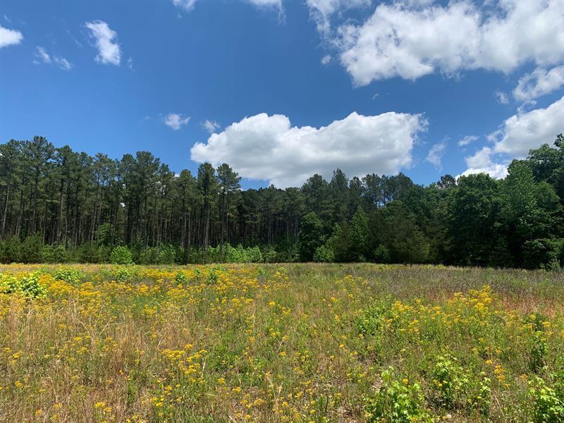 Belmont Tract : Athens : Clarke County : Georgia