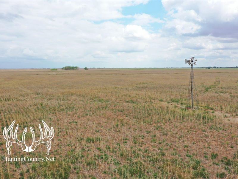 Online Auction Woods County Tract 5 : Alva : Woods County : Oklahoma
