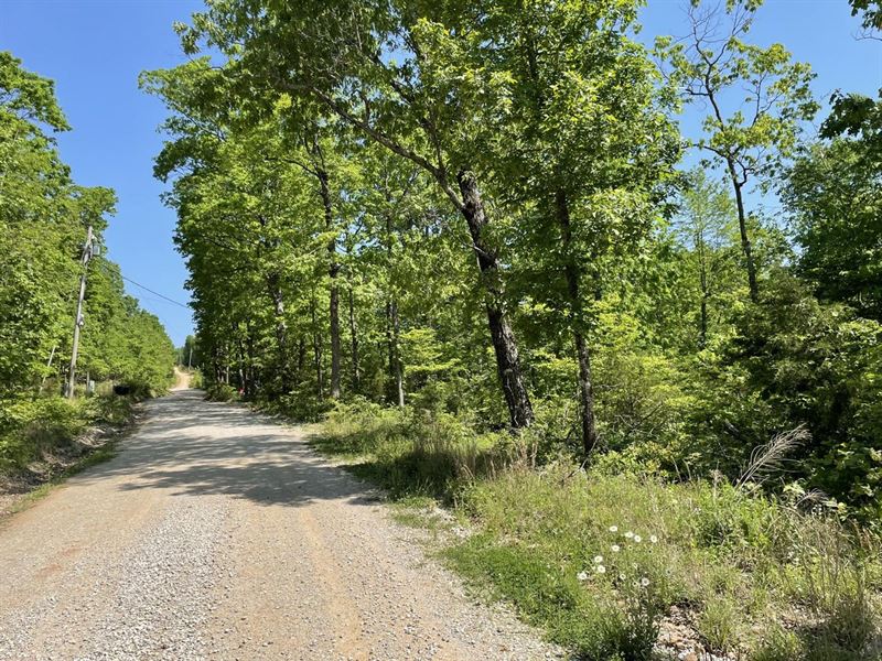 40 Acres, Hunting Land, Stone Co : Mountain View : Stone County : Arkansas