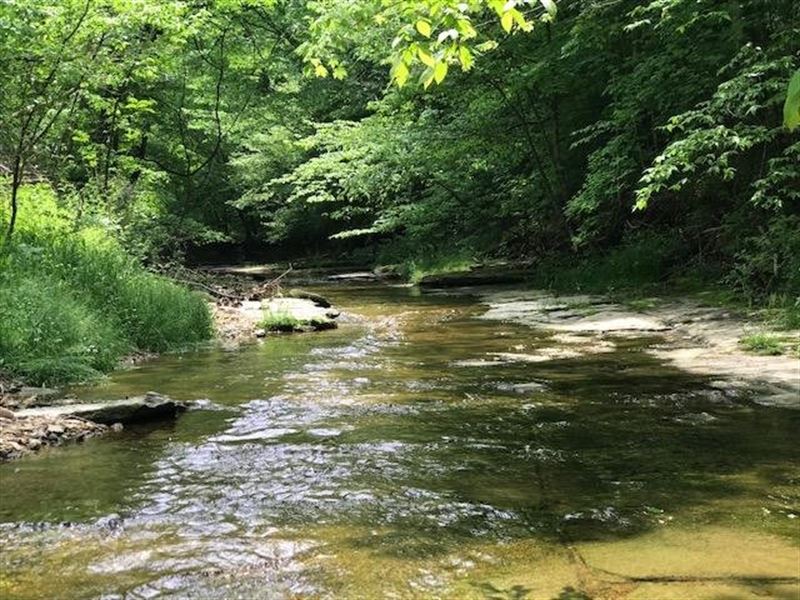 33.5 Acres, Sumner County Tennessee : Westmoreland : Sumner County : Tennessee