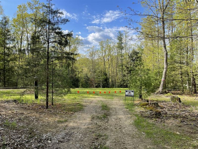 Perry County 20 Acres : Elliottsburg : Perry County : Pennsylvania
