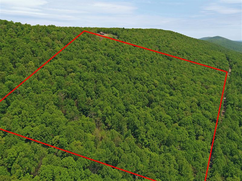 13.05 Acres in Hampshire County, WV : Paw Paw : Hampshire County : West Virginia