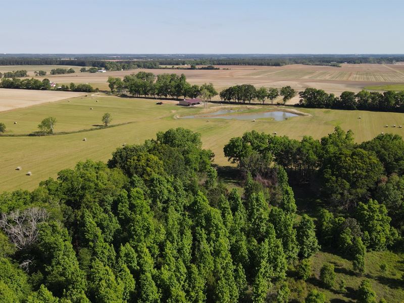 Pleasant Plains Farm : Columbia : Houston County : Alabama