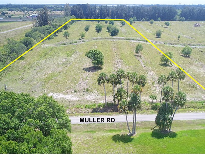 Res / Ag Lot, Paved Rd & Oak Trees : Fort Pierce : Saint Lucie County : Florida