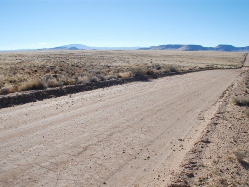 Land for Sale Near Rio Grande River : Alamosa : Costilla County : Colorado