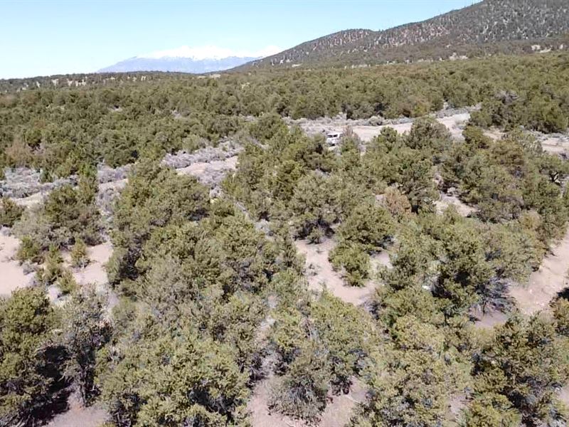 Pick Me, Pick ME : Fort Garland : Costilla County : Colorado