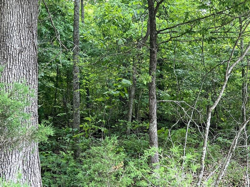 Home and Hunting, Farm for Sale in Kentucky, 321082 FARMFLIP