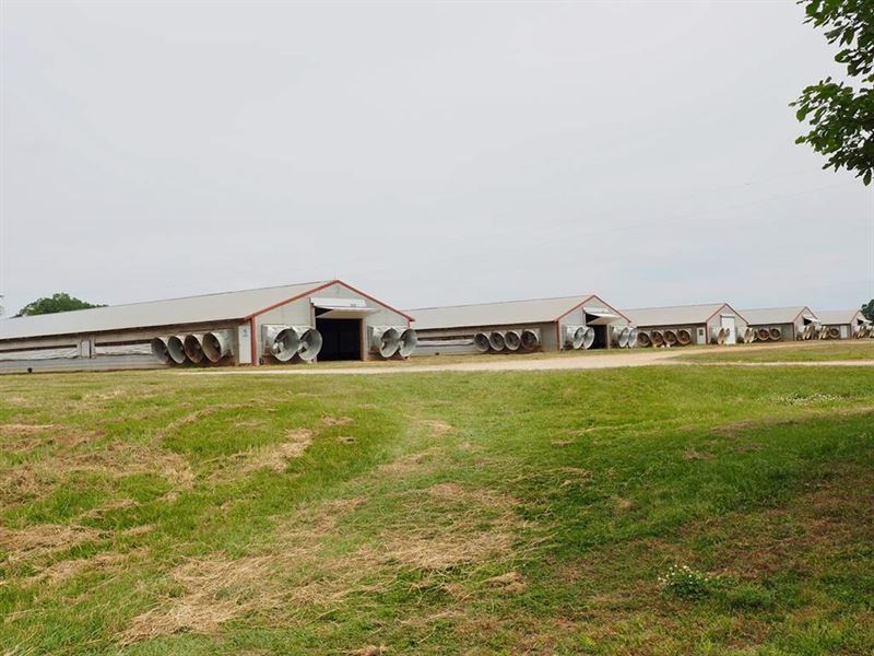 6 House Poultry Farm 72 Acres 5 Br : Tylertown : Walthall County : Mississippi