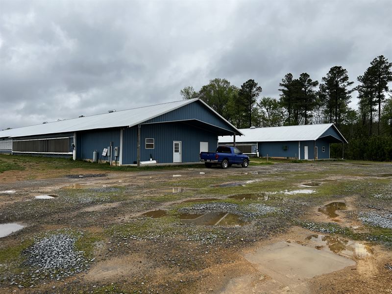 Nice Breeder Farm : Chatsworth : Murray County : Georgia