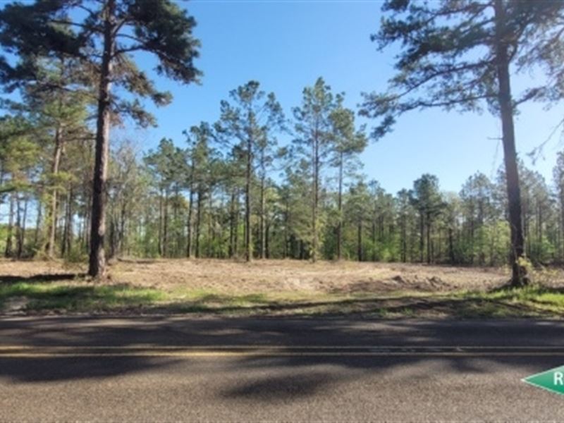 28.5 Ac, Timberland with Home Site : Garrison : Nacogdoches County : Texas